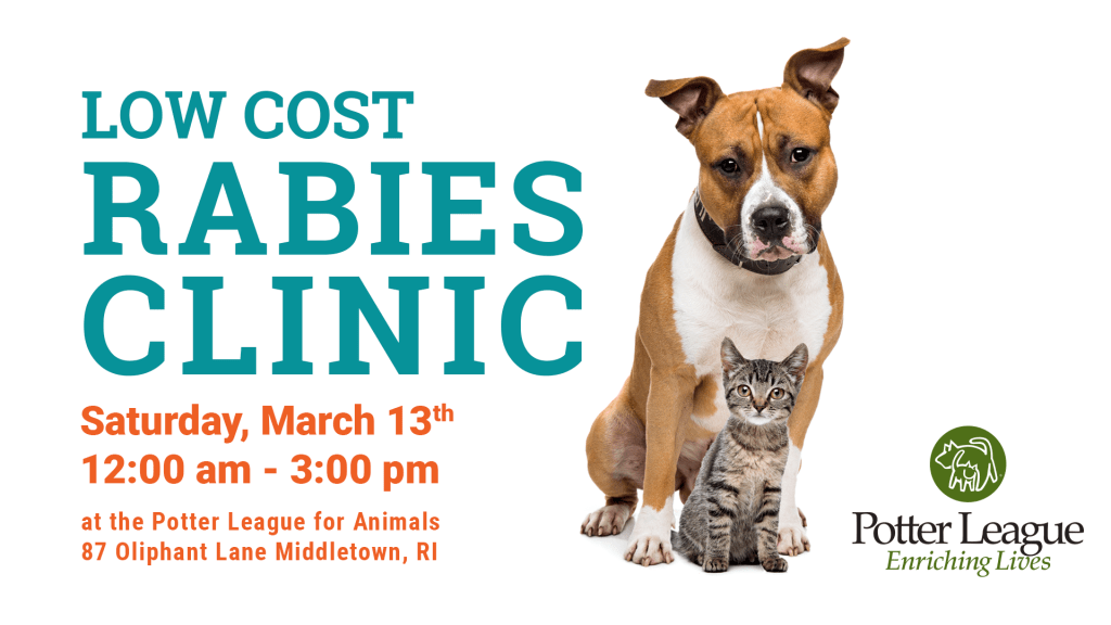Potter League hosting a lowcost rabies clinic on March 13 What's Up Newp