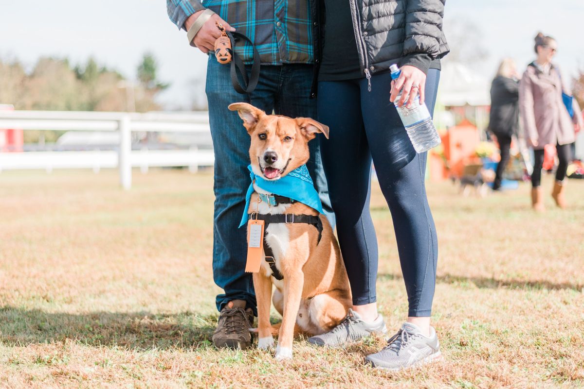 Potter League to host 32nd Annual Heart & Sole Walk for Animals at Fort