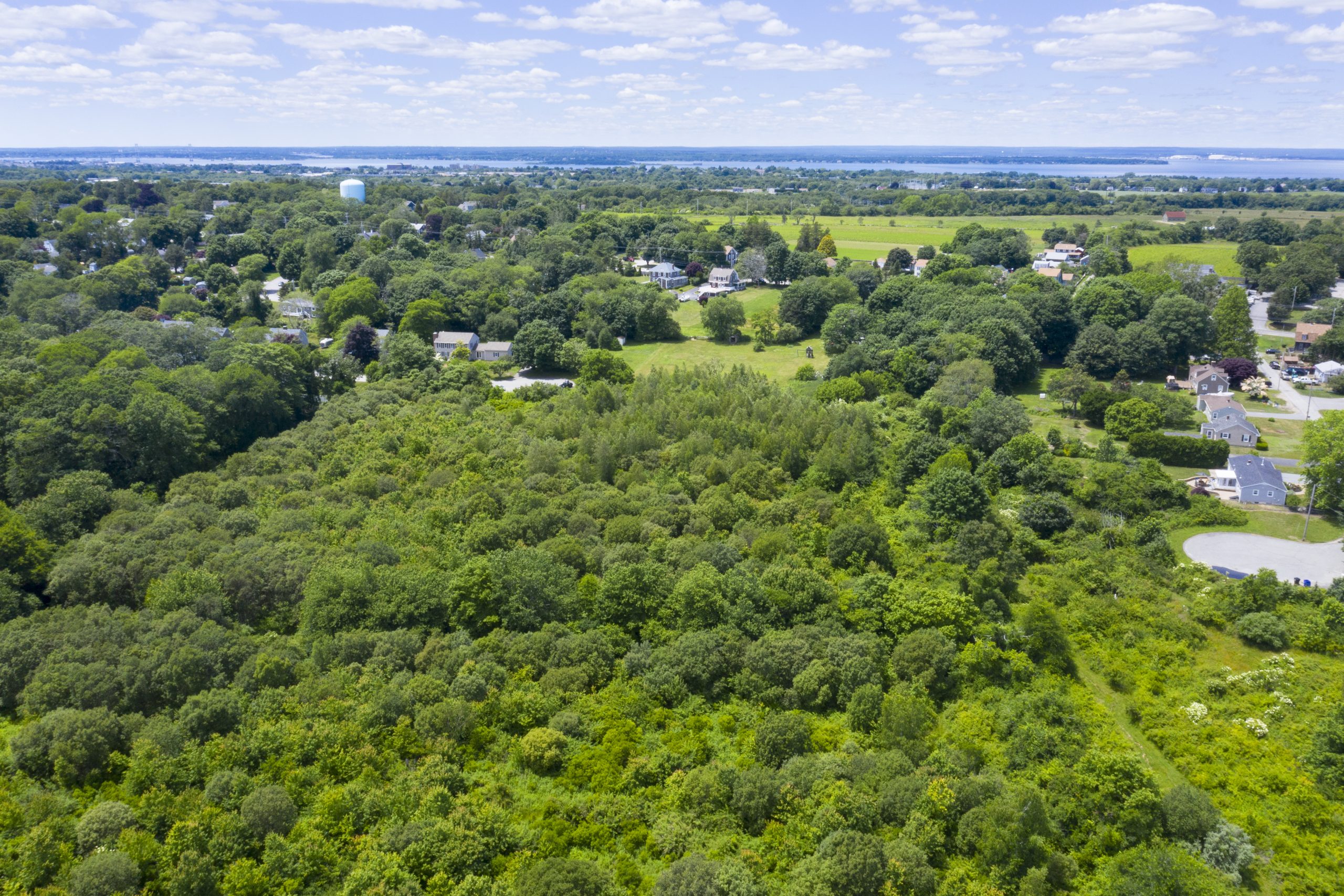 Aquidneck Land Trust announces conservation of a 20.97acre property in Portsmouth What's Up Newp