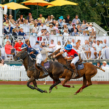 Clarke Cooke Cup will feature New York versus Newport on Saturday