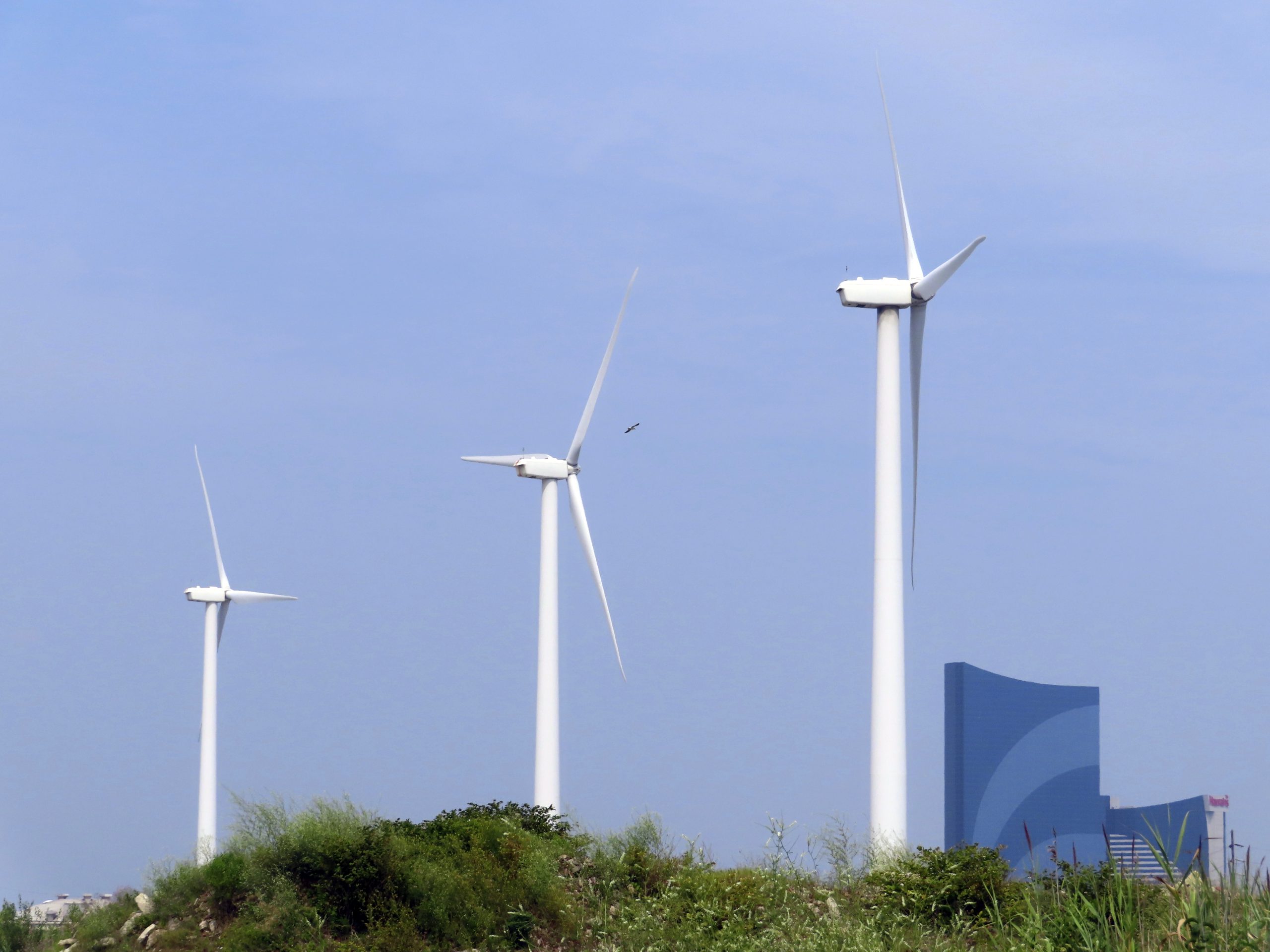 Wind Regulation Offshore Wind Regulation - What's Up Newp