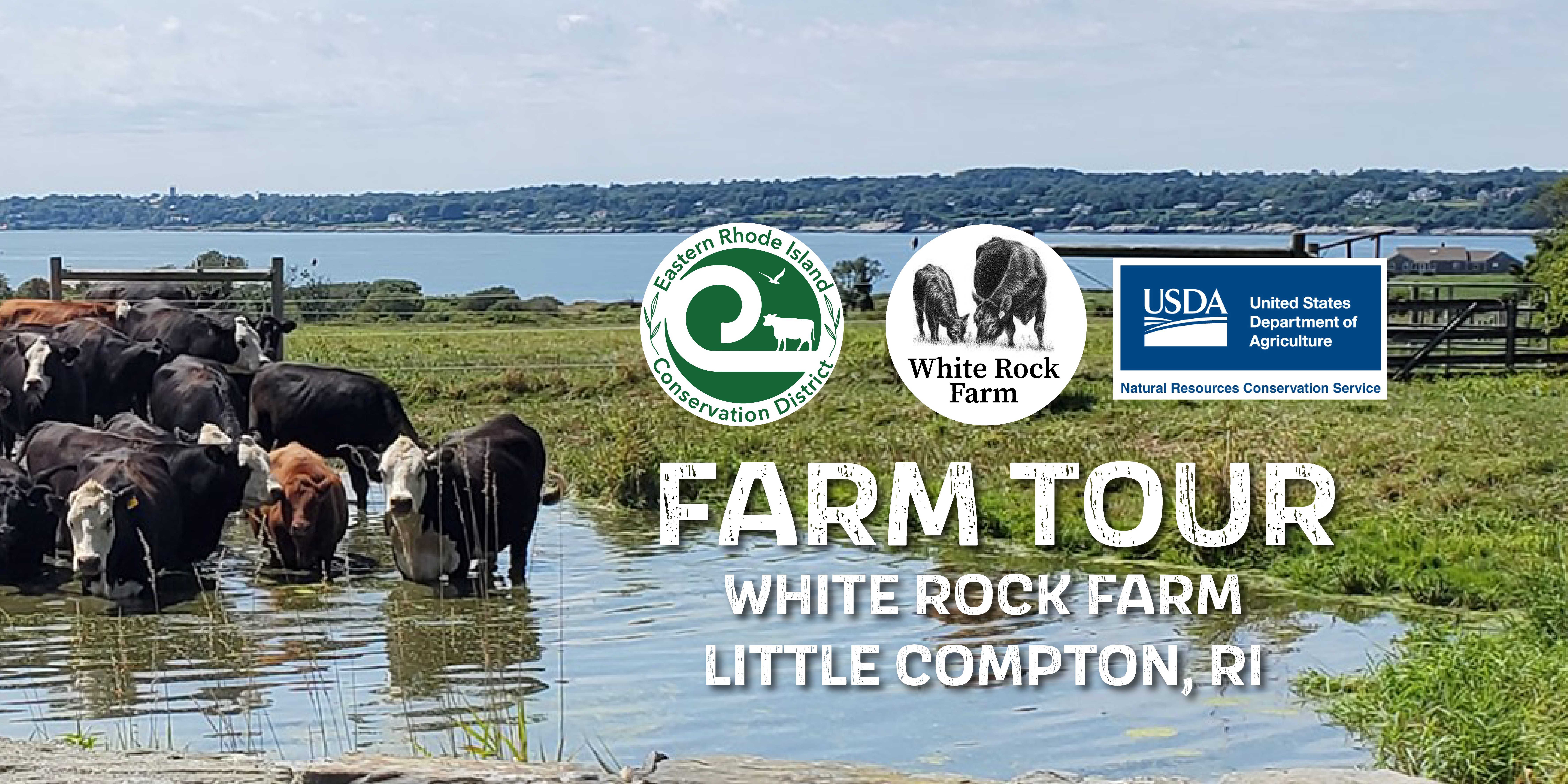 Public invited to tour White Rock Farm in Little Compton - What's Up Newp