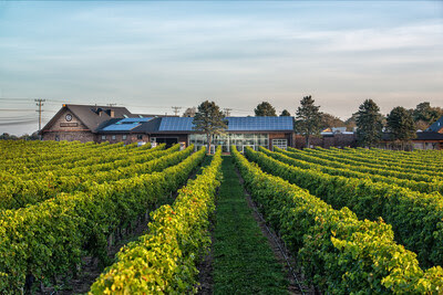 Newport Vineyards launches Tuesday Tunes series and continues Sunday music through August