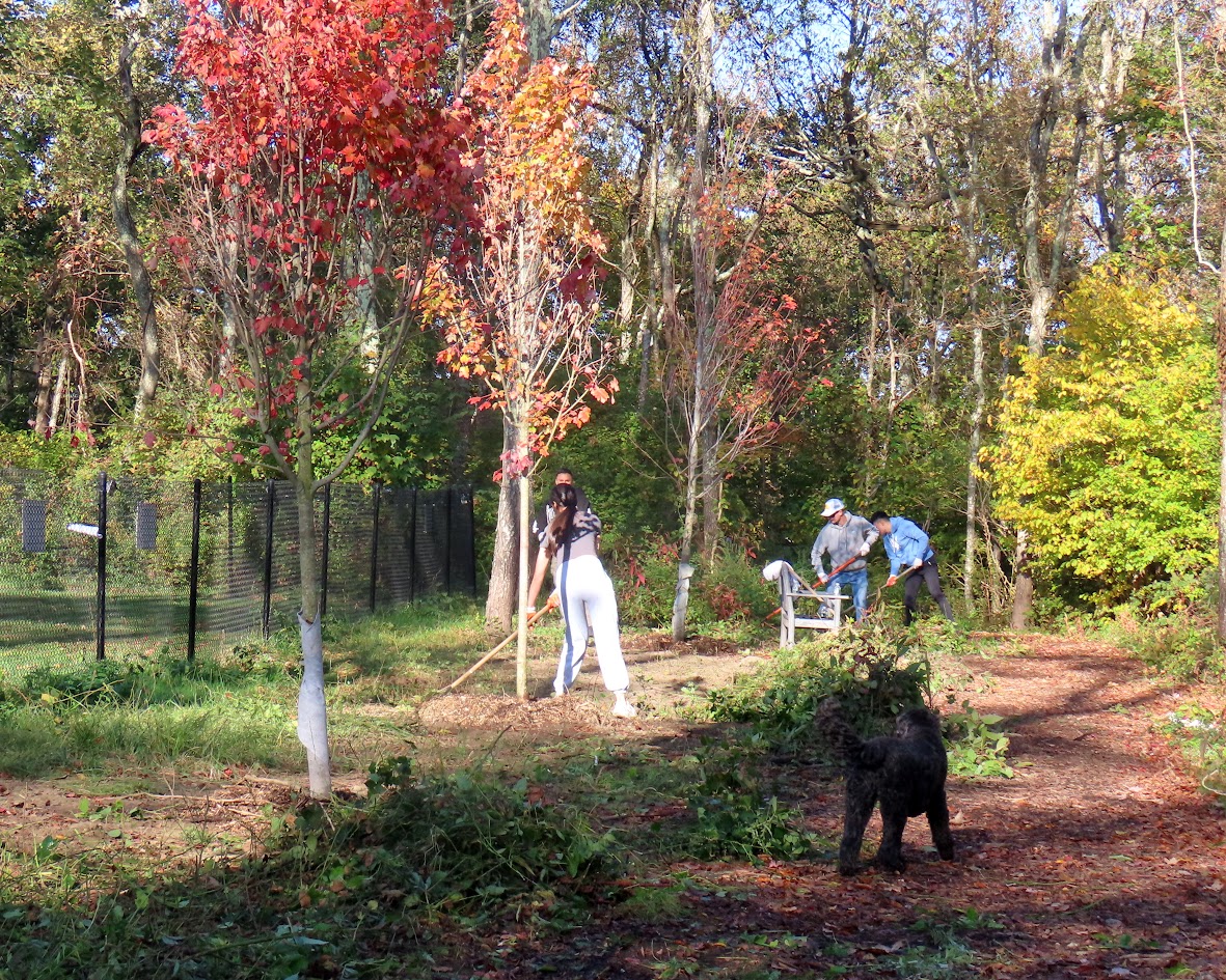 Aquidneck Island Land Trust accepting community grant applications through March 13